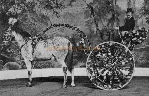 Another "turn" at the Hippodrome. Mddle. Gerard, seated in the fairy-like chariot here depicted, directs her highly-trained horse "Leopard" to go through some remarkable steps and evolutions.