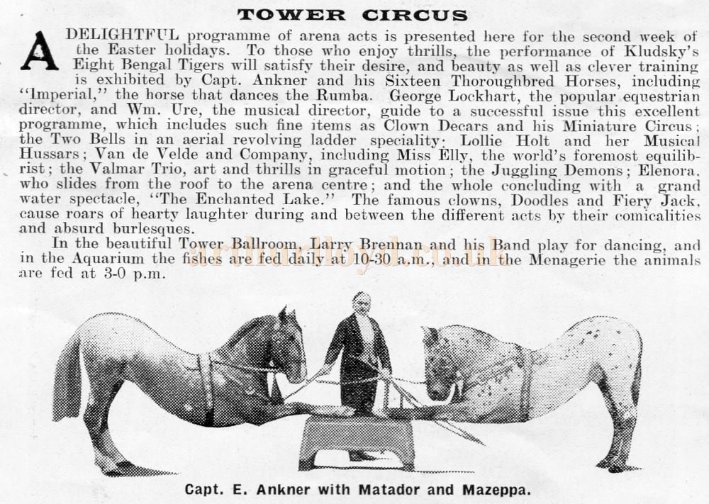 Programme Notes for Blackpool's Tower Circus - From a Souvenir Brochure for 1932 - Courtesy Colin Davies.