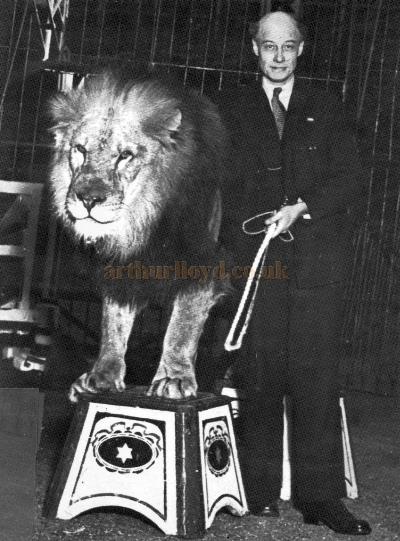 Lion Tamer and Politician John S Clarke MP with one of his Lions - Courtesy Graeme Smith.