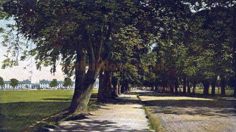 A Postcard of the South Inch drive, Perth, viewing to Marshall Place - Courtesy Graeme Smith.