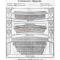Wyndham's Theatre