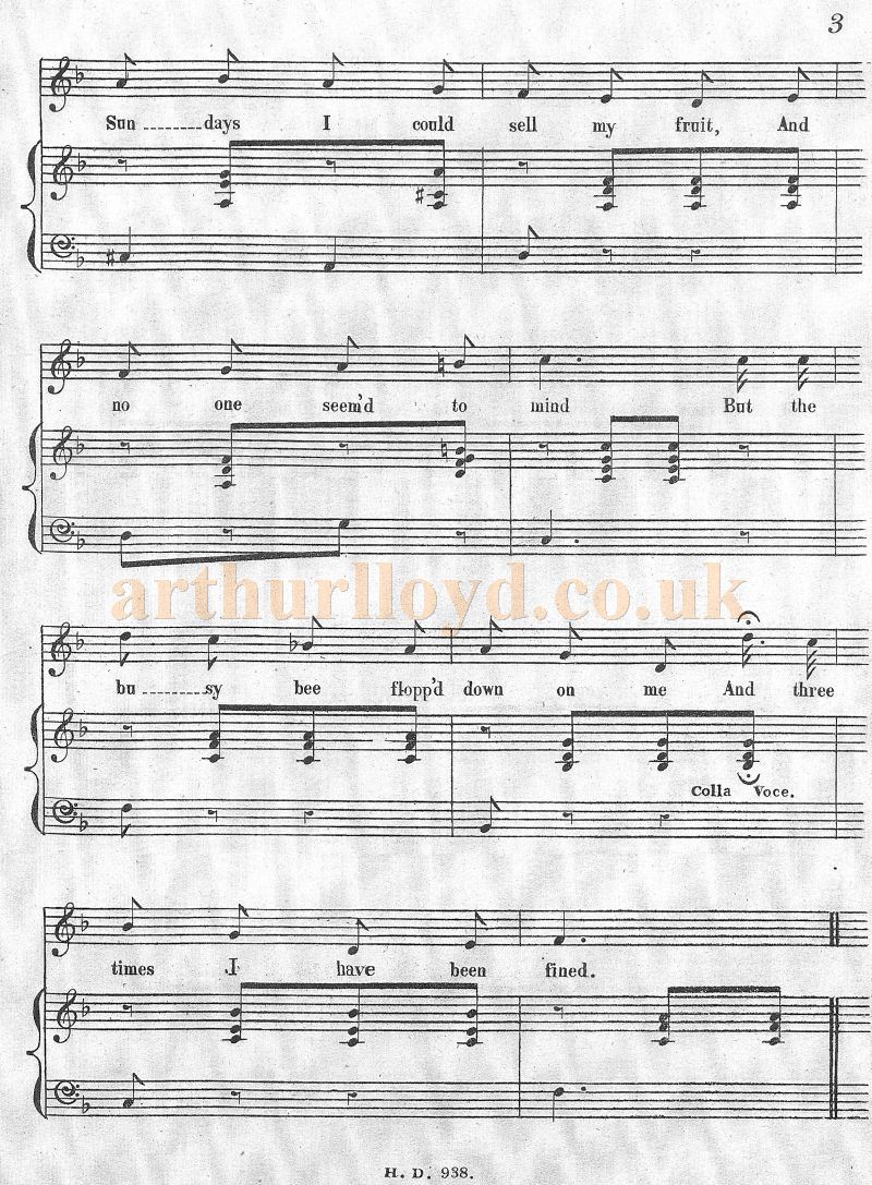 Arthur Lloyd's 'Busy Bee' - Courtesy Colin McIntyre