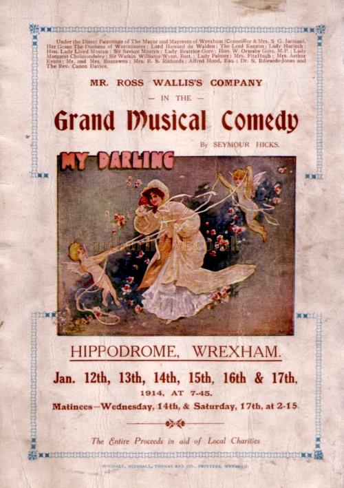 A Programme for the 'Grand Musical Comedy' 'My Darling' by Seymour Hicks at the Wrexham Hippodrome in January 1914.
